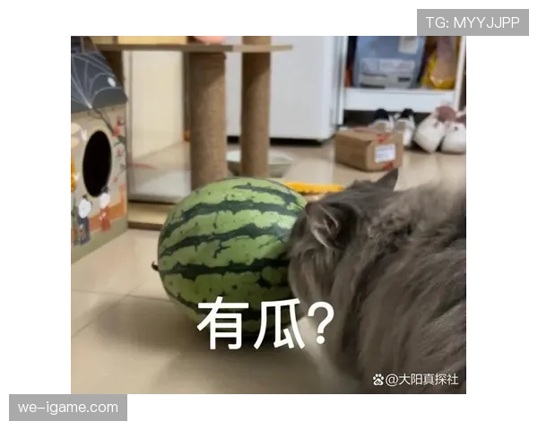 苏亚雷斯晒带娃视频，邻居阳台的吃瓜表情比他家泳池还抢镜